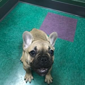 Meet your Posher, Gabby